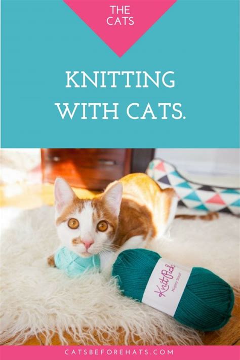Knitting With Cats · Cats Before Hats