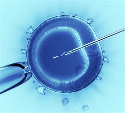 Low Cost Ivf Infertility Treatment India Ghn Services