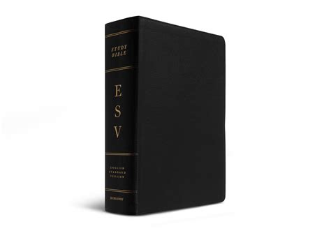 Esv Study Bible Large Print Genuine Leather Black English Standard