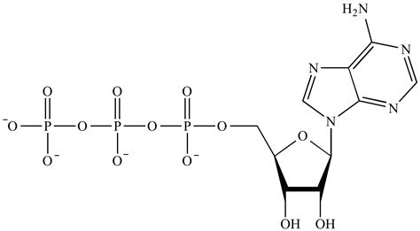 Illustrated Glossary Of Organic Chemistry Phosphate Group