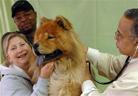 Experience the difference with tanglewilde veterinary clinic. Oakcrest Veterinary clinic | home