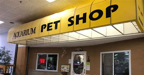 Aquarium Pet Shop Plans Its Move To Eighth Street