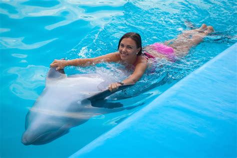 6 Places You Can Go Swimming With Dolphins In Key West Key West Boat