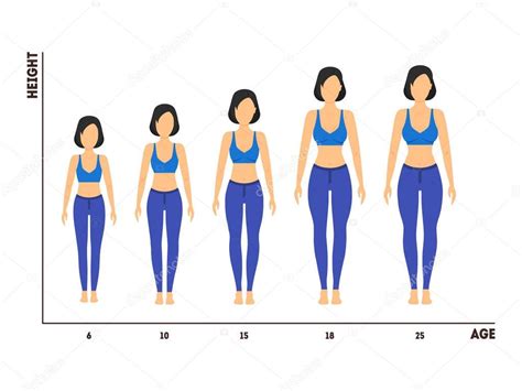Height And Age Measurement Of Growth From Girl To Woman Vector — Stock
