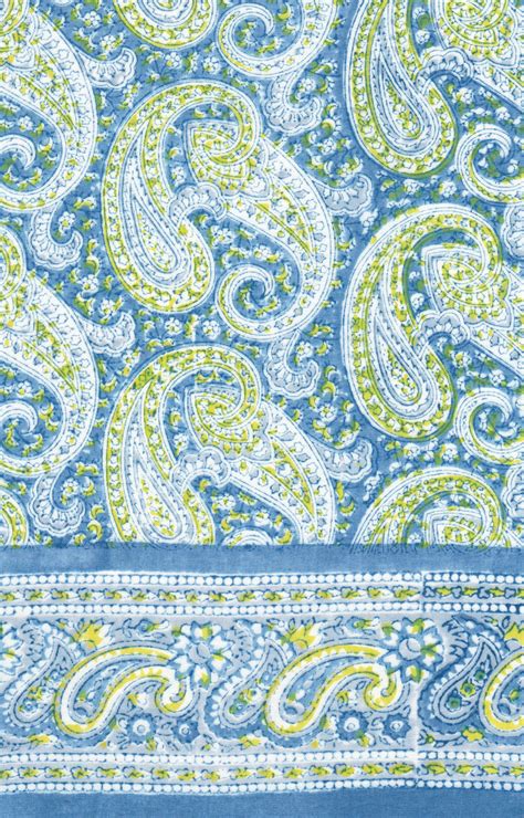 Anokhi Usa Scarf In Blue Paisley
