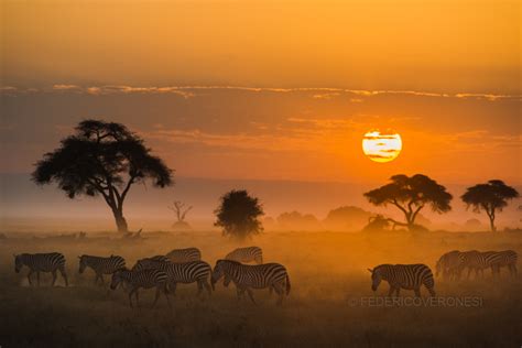 Description of Amboseli NP, Kenya for wildlife photography | Federico Veronesi Photo Safaris