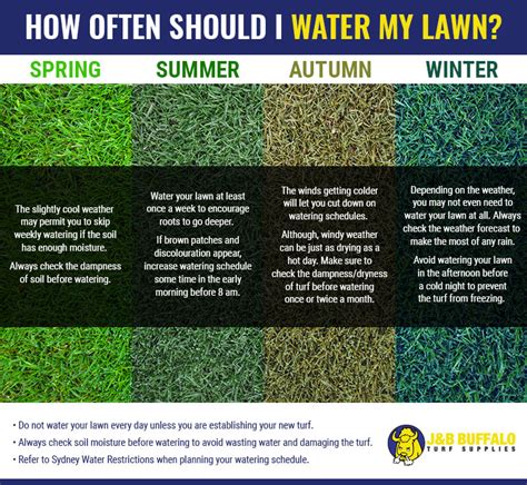 How Often And How To Water My Lawn Complete Gardering