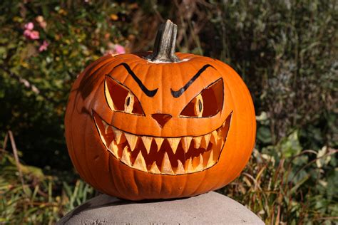 Free Images Orange Pumpkin Halloween Holiday Gourd Jack O