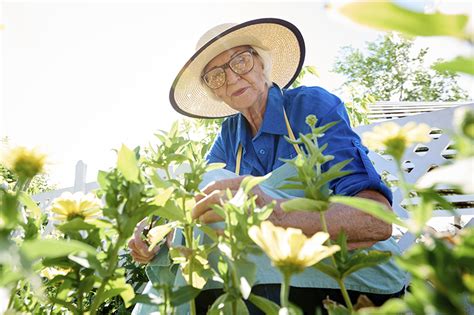 Gardening For Seniors Provides Many Health Benefits