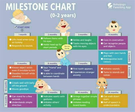 Food ideas for 6 months old baby. hello dr.. what are the milestones to achieve for 7 months ...