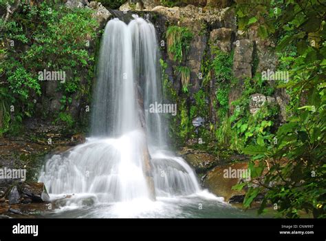 Waterfall In Rainforest New Zealand Stock Photo Alamy