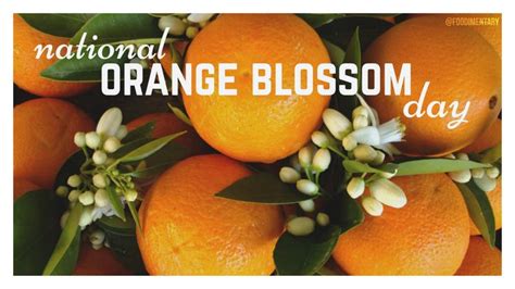 june 27th is national orange blossom day orange orange blossom holiday recipes
