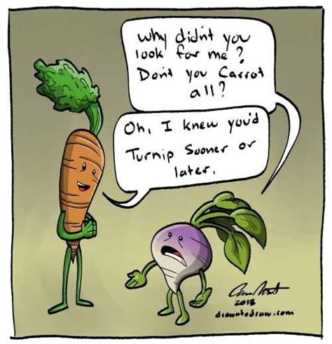 Turnip Pun Vegetables Quote Funny Vegetables Veggies Funny Adult