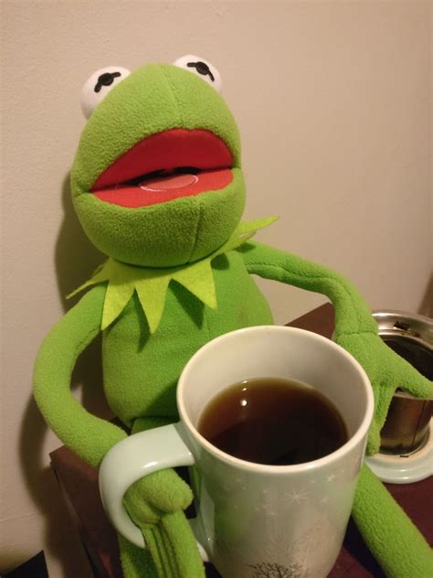 Kermit Kermit The Frog  Kermit Kermit The Frog Tea Discover Share