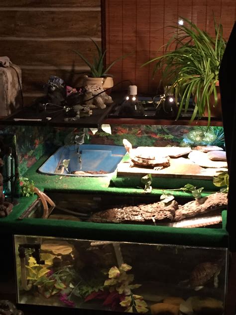 This Is My Turtle Habitat That I Made For My 2red Eared