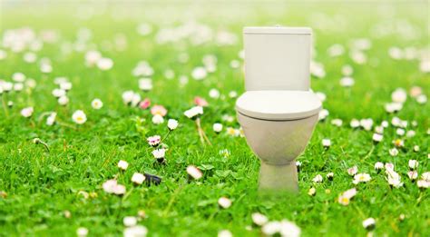 Eco Friendly Toilets Everything You Need To Know