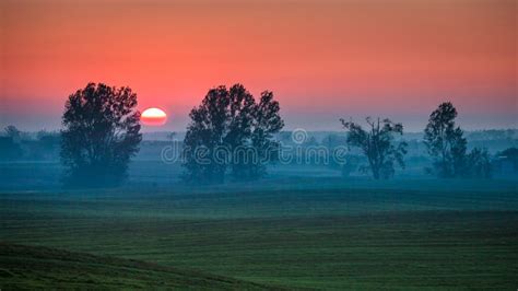 Beautiful Sunrise At Foggy Green Field In Summer Stock Photo Image Of