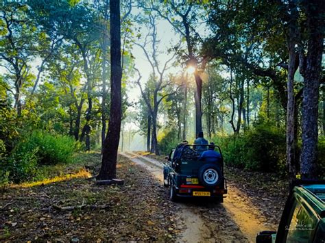 12 Things You Must Know Before Visiting Kanha National Park