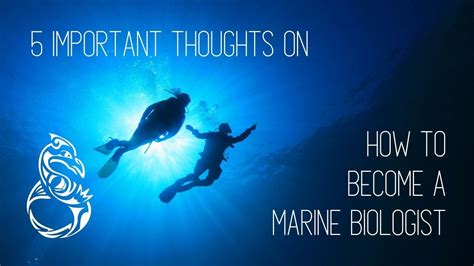 How To Become A Marine Biologist I 5 Important Tips Youtube