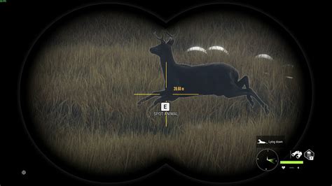 Melanistic Blacktail Deer Thehunter Call Of The Wild Youtube