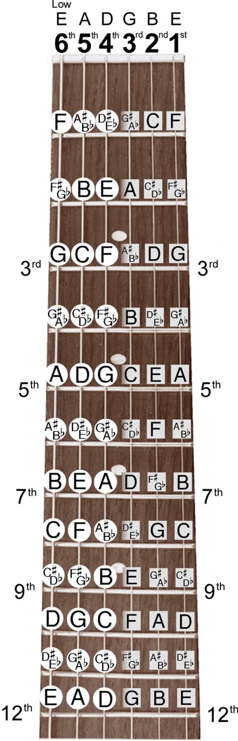 Guitar Chord Fretboard Note Chart Instructional Easy X Poster For Beginners Chords Notes A