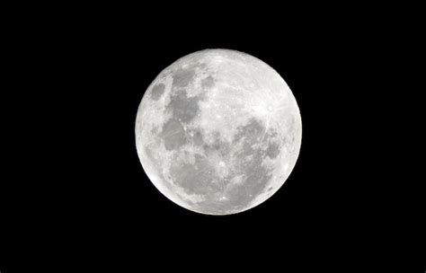 Une Nuit De Pleine Lune Noire Télécharger Des Vecteurs Gratuitement