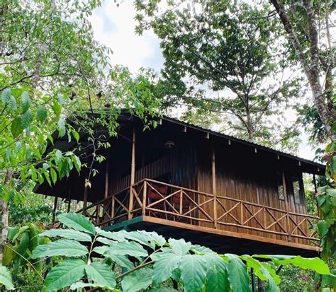 Tree Houses Hotel Costa Rica 2019 Room Prices 144 Deals And Reviews
