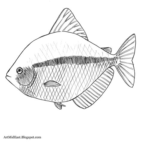 How To Draw A Fish Step By Step Drawing Lessons
