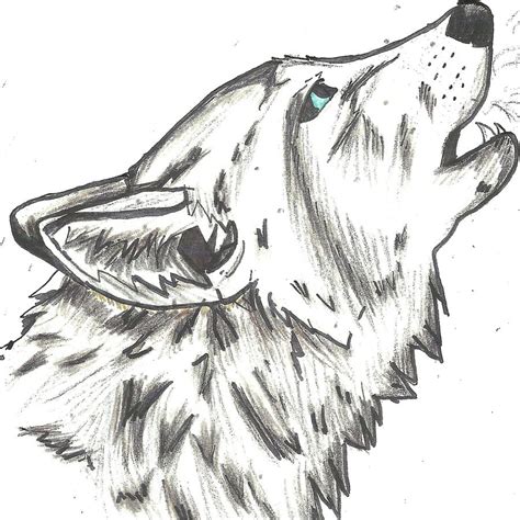 14 Wolf Head Drawing Easy Pictures Shiyuyem