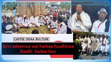 Oduu Harawa Afaan Oromo Sirni Adeemsa Wal Harkaa Fuudhinsa Baallii