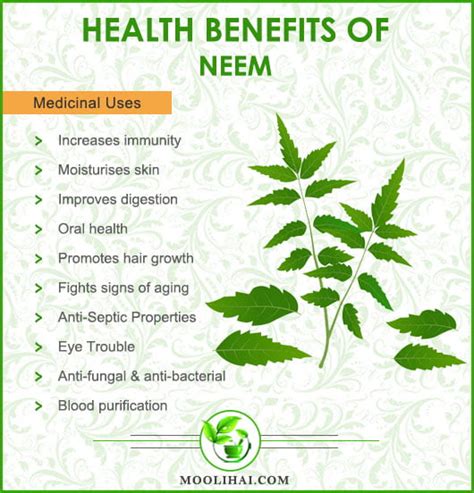 10 Amazing Medicinal Benefits Of Neem
