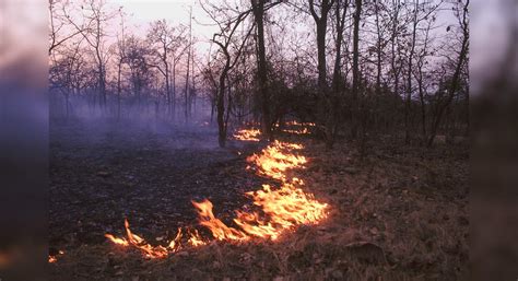 Uttarakhand Forest Fire Uttarakhand Burns As Forest Fires Rage On