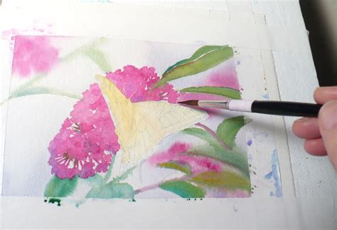 Zeh Original Art Blog Watercolor And Oil Paintings Tiger Swallowtail