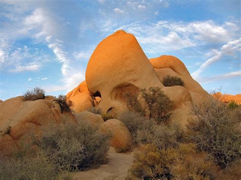The Perfect 2 Day Joshua Tree Itinerary The Wandering Queen