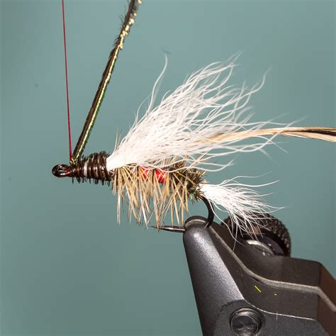 Fly Of The Month Royal Stimulator J Stockard Fly Fishing