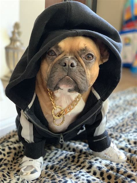 Got Style Bek And Co Chain Cute French Bulldog Frenchie Fashion