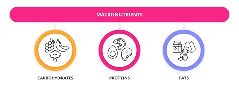 Macronutrients Foods Chart Find Your Keto Macros Low Carbe Diem