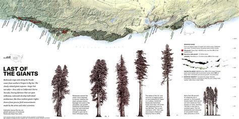 Map Of The Redwoods The Coastal Redwoods Were Magnificent Alas Only 2