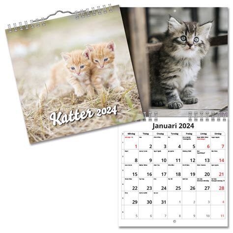 Väggkalender Katter Mini 2024 Liten And Billig Köp Online Klarna