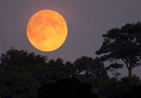 August Supermoons Sturgeon Moon On August 1 Blue Moon On August 30
