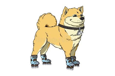 Good Doge Stock Illustrations 14 Good Doge Stock Illustrations