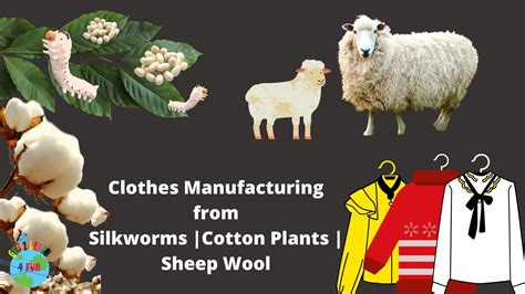 What Are Clothes How Clothes Are Made Cotton Silk Wool