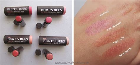 Burt S Bees Why I M Buzzing About These Lip Products Beauty Point Of View Burt S Bees