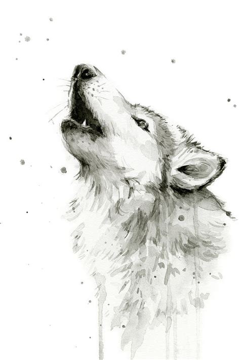 Howling Wolf Watercolor Painting By Olga Shvartsur Fine Art America