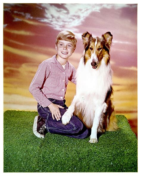 ‘lassie Star Jon Provost Says Timmy Was Never Trapped In A Well ‘we Just Dont Know Where That