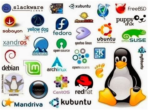¿qué Es Linux Toda La Información