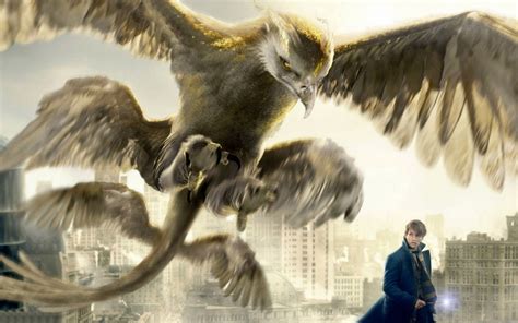 Fantastic Beasts And Where To Find Them Eagle Wallpaper 11506 Baltana