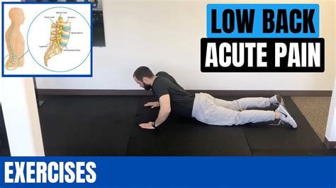 Acute Low Back Pain Exercises Youtube