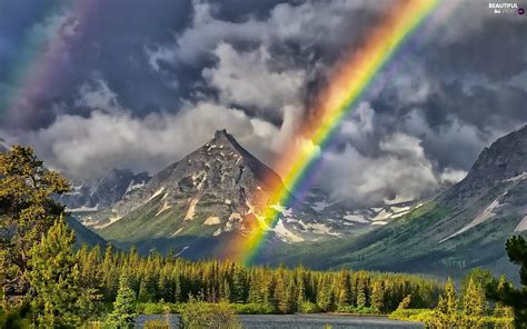 Forest Lake Clouds Mountains Great Rainbows Beautiful Views