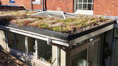 Diy Sedum Roofs See Our Green Roof Customer Projects Sedum Green Roof